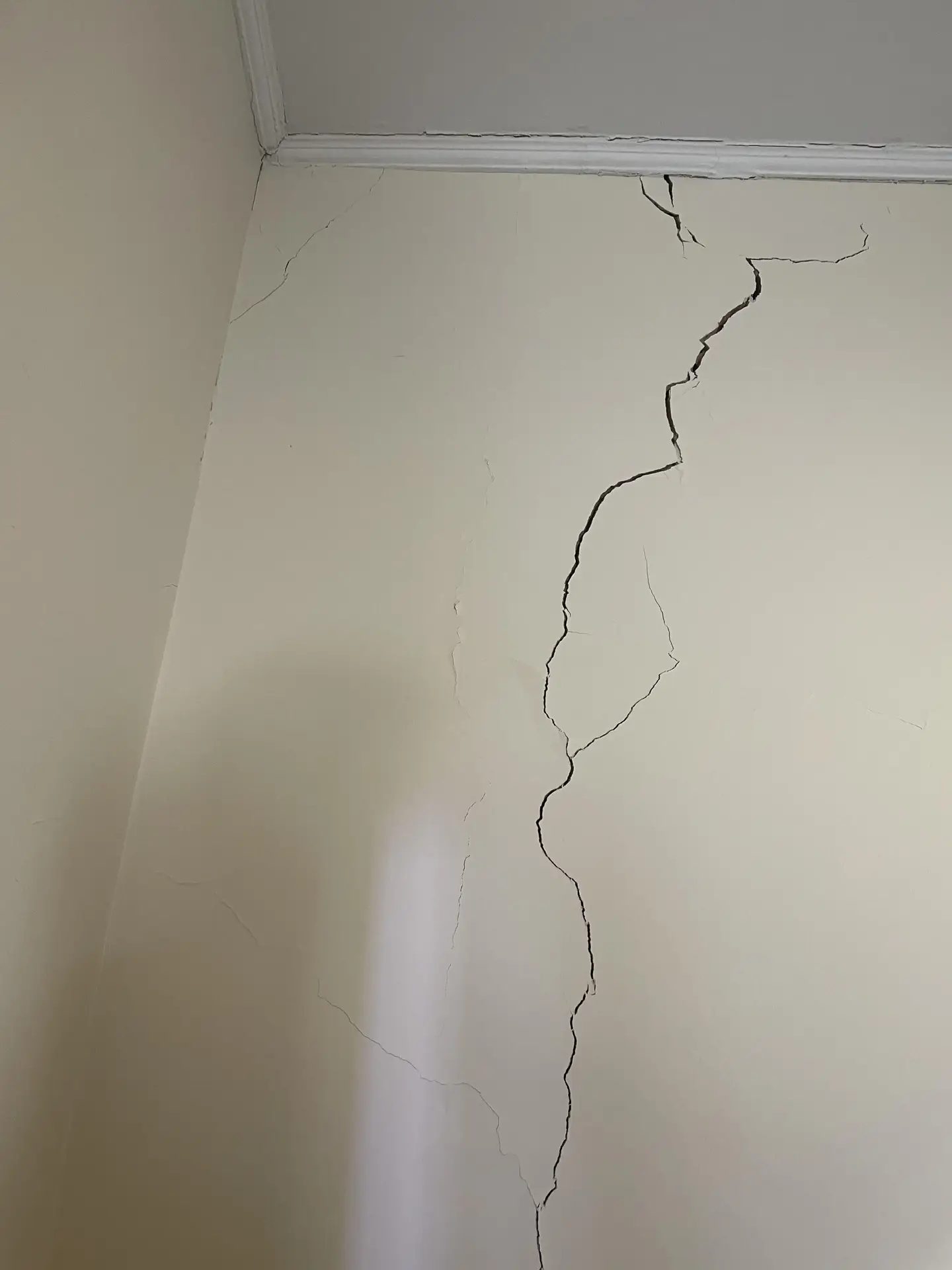 Cracking to an internal wall documented ahead of nearby construction works