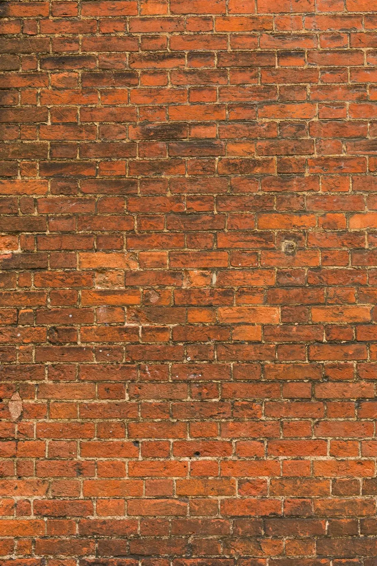 Close detail of an aged brick wall