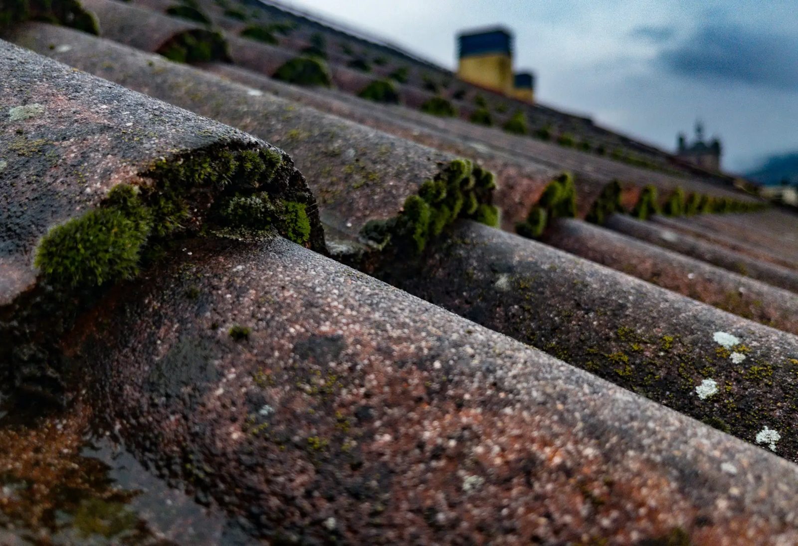 Close-up of ageing roof tiles showing moss growth and general wear