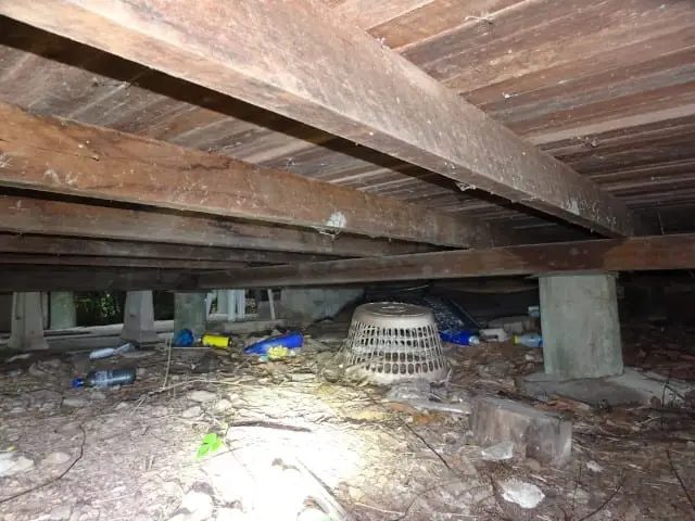 Subfloor timber framing inspected as part of a civil site assessment